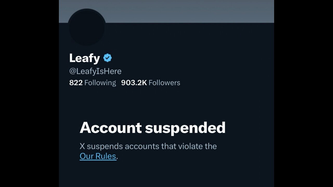 leafyishere banned on Twitter again lmao