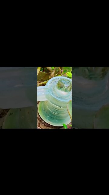 har har shambu 🙏/ हर हर शम्भू #shorts #natural #viral