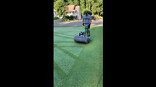 Perfect Lawn