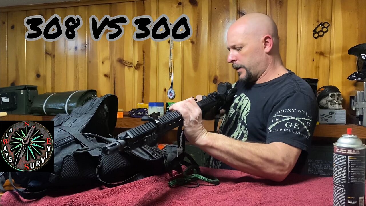 300 Win Mag AR Vs 308 AR 10