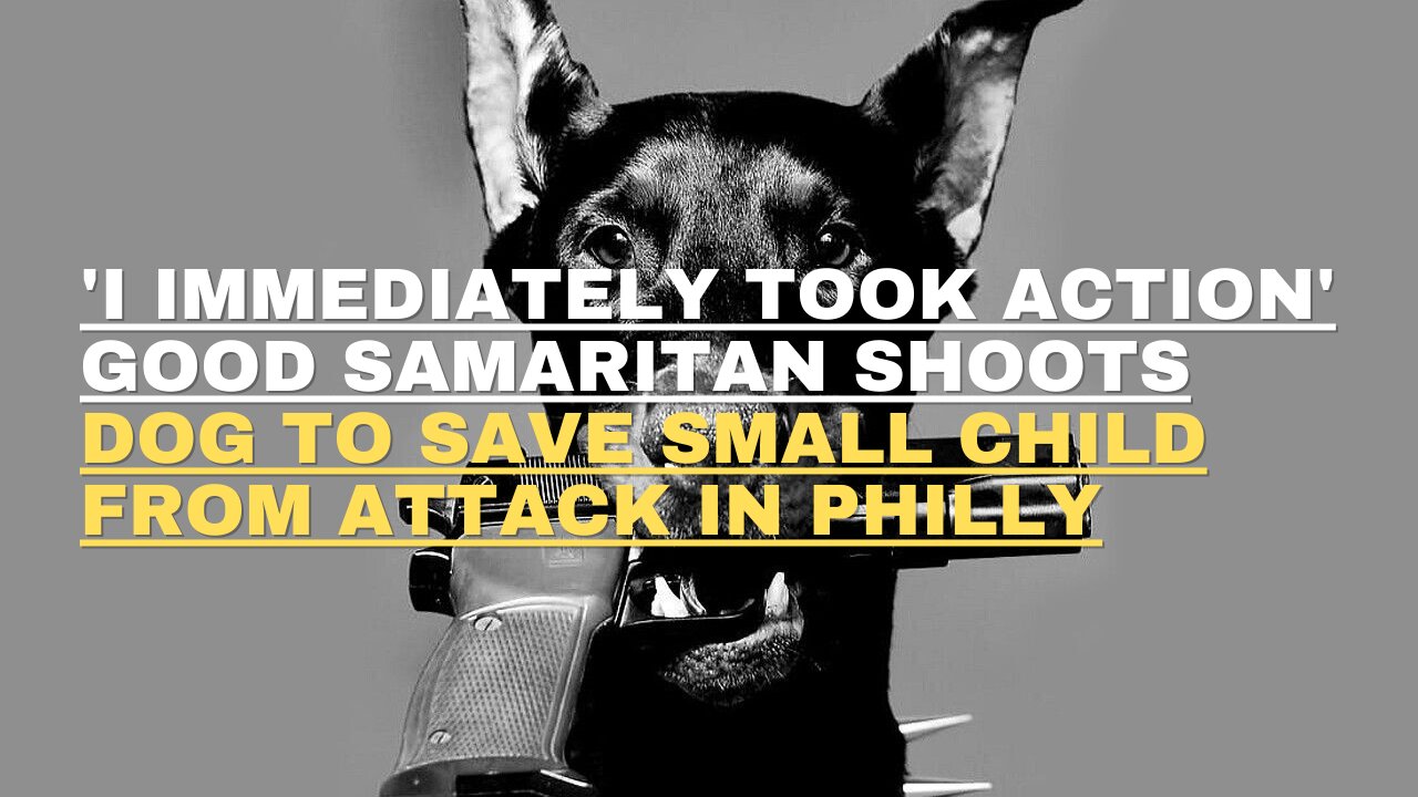 **'I immediately took action': Good Samaritan shoots dog to save small child from attack in Philly**