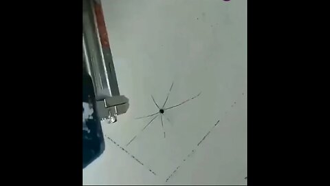 Ninja spider