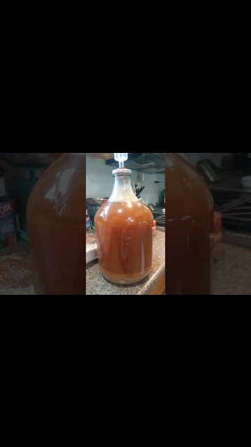 Making Palermo wine: after 3 days, the yeast is doing its job.