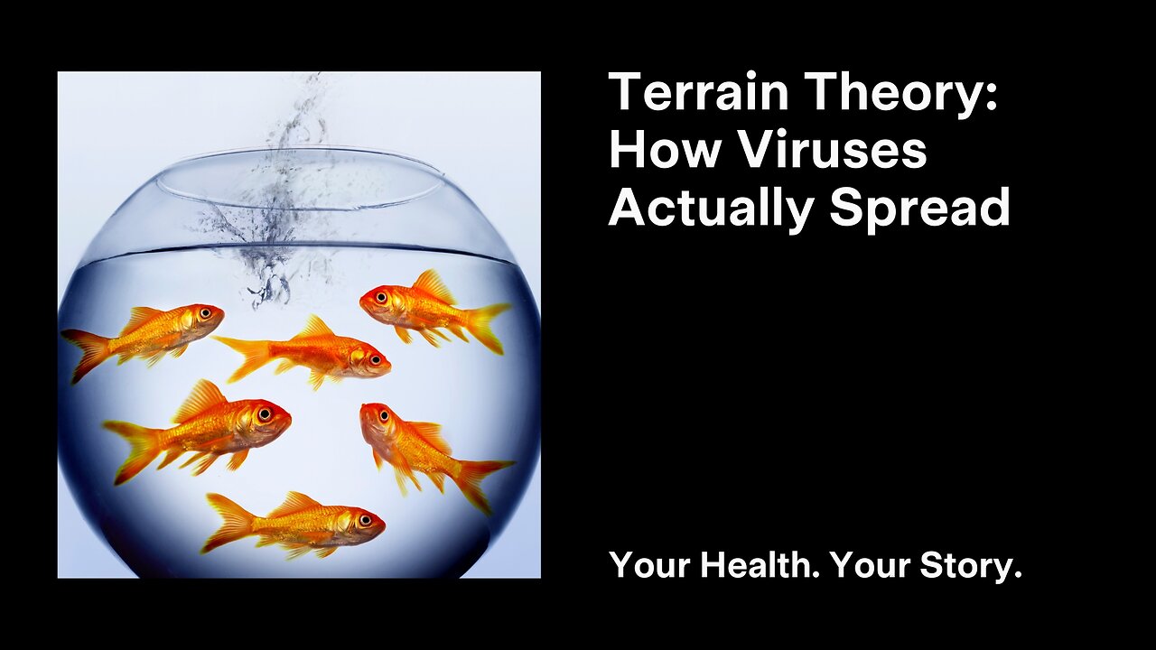 Terrain Theory: How Viruses Actually Spread