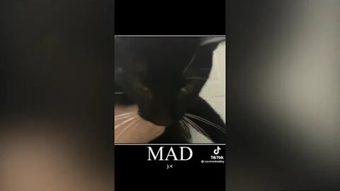 What I do when im in a BAD mood (TIKTOK) PART 1