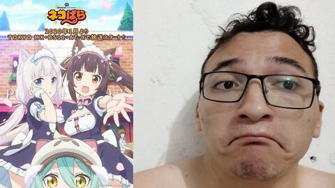 Nekopara 2020 - Primeiras Impressores do Anime