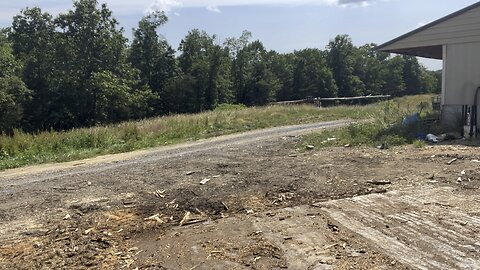 Logging accident