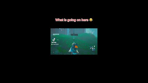 What is going on here 😂