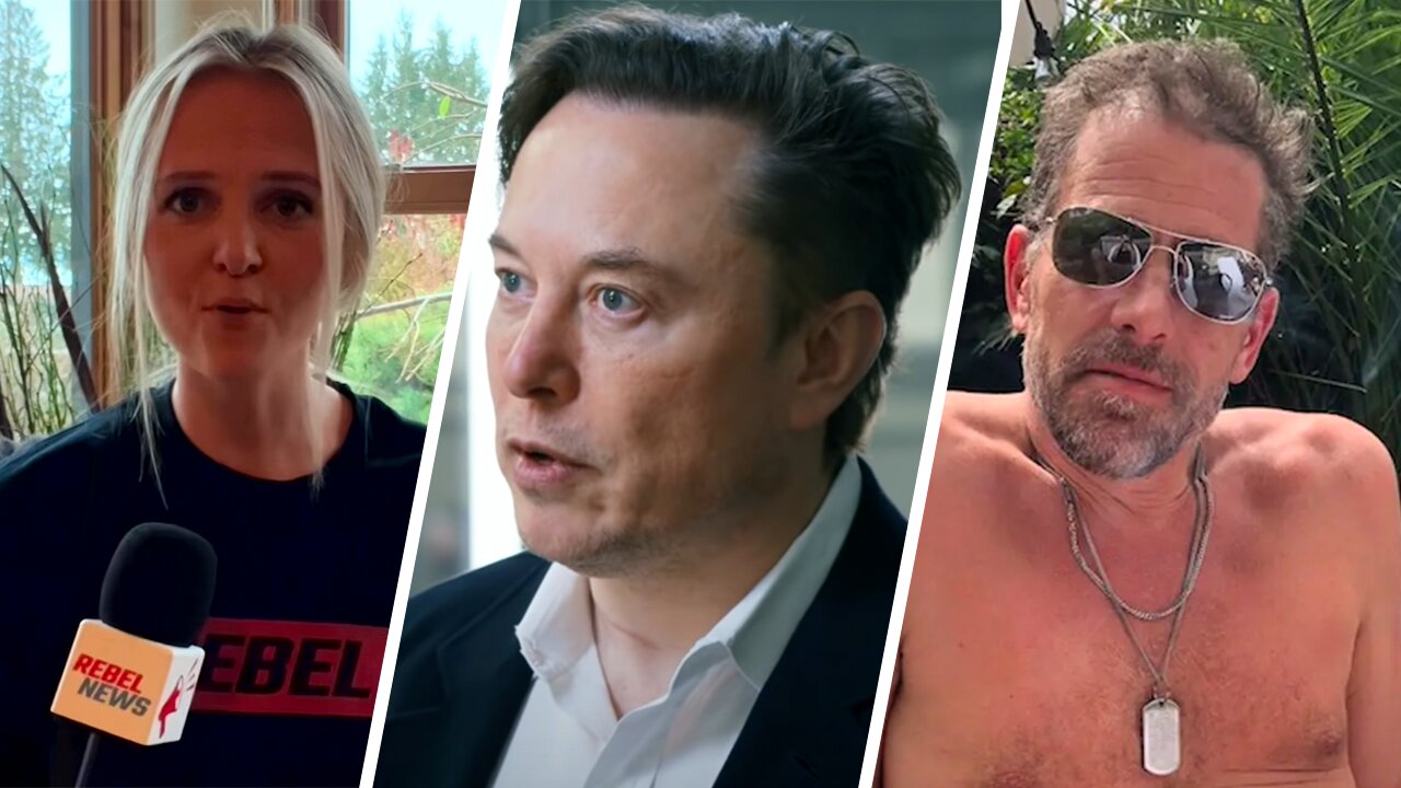 Breaking down Elon Musk's Twitter Files