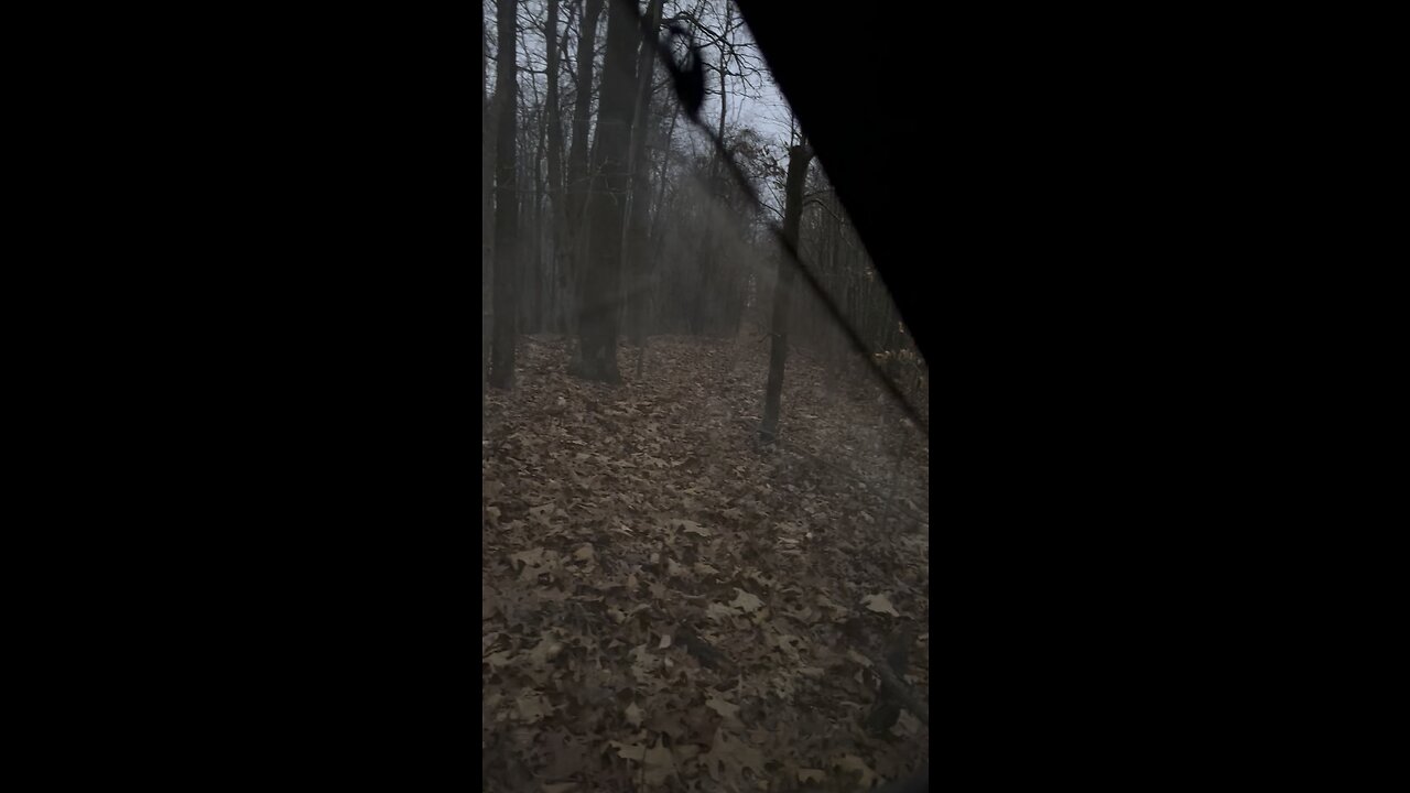 Hunting in Ohio