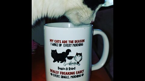Happy Meowmy's day 😄💖