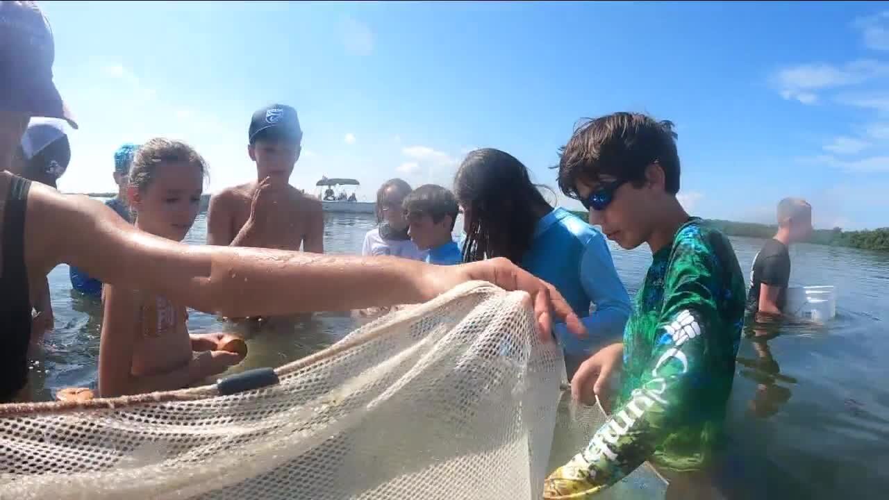 Students get hands-on at FGCU's Marine Science Camp