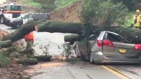 RAW VIDEO: Crews respond to tree that fell on van in Fallbrook