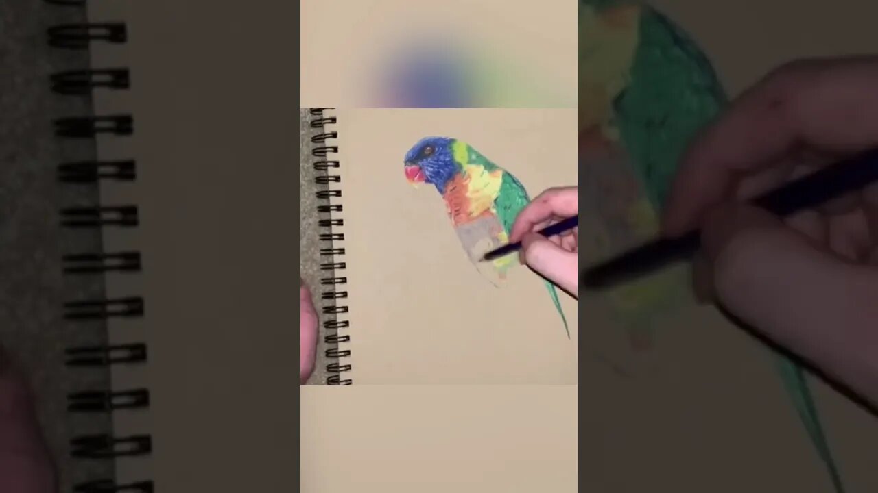 Drawing a bird #shorts