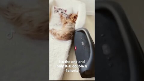 It's the one and only D-O double G #shorts