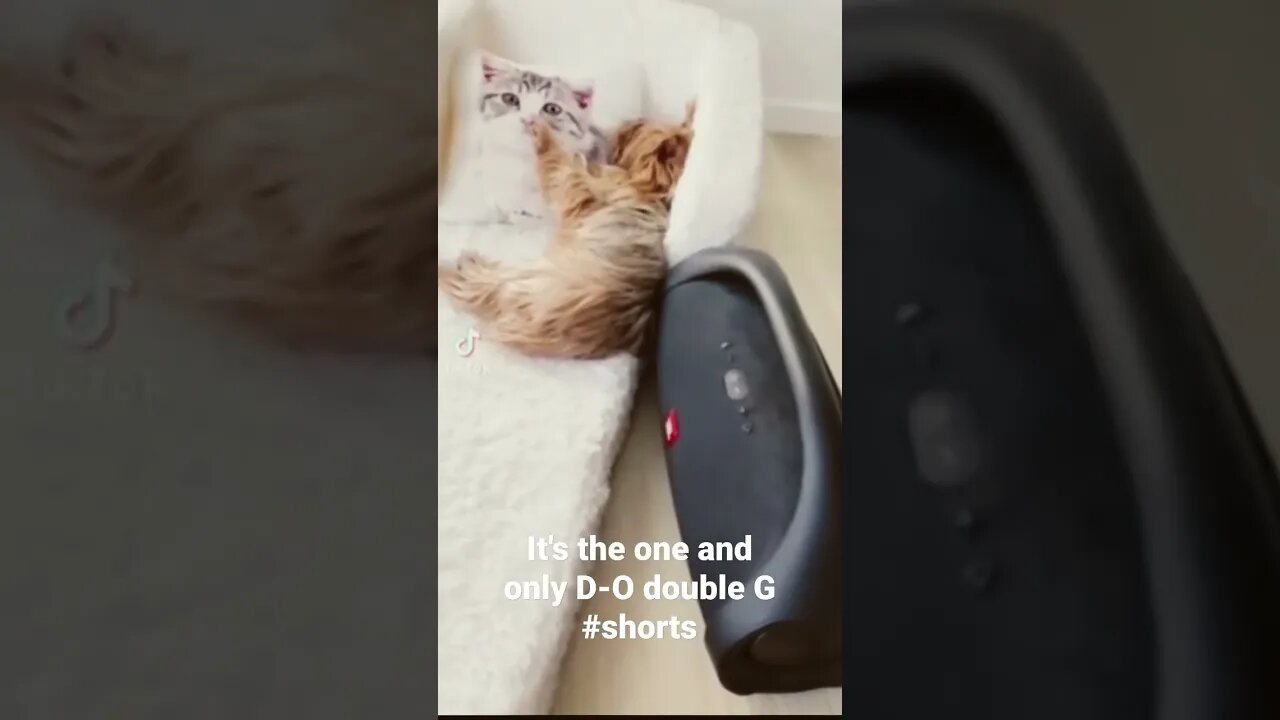 It's the one and only D-O double G #shorts