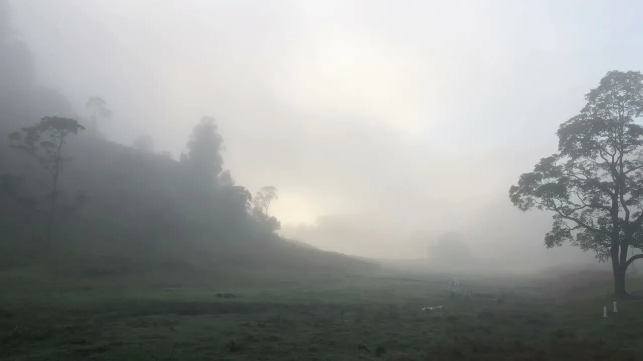 Enjoy our misty Autumn morning from down under