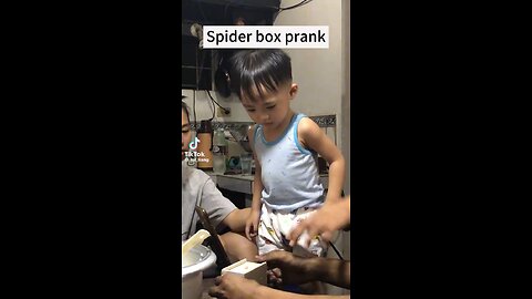 Spider box prank