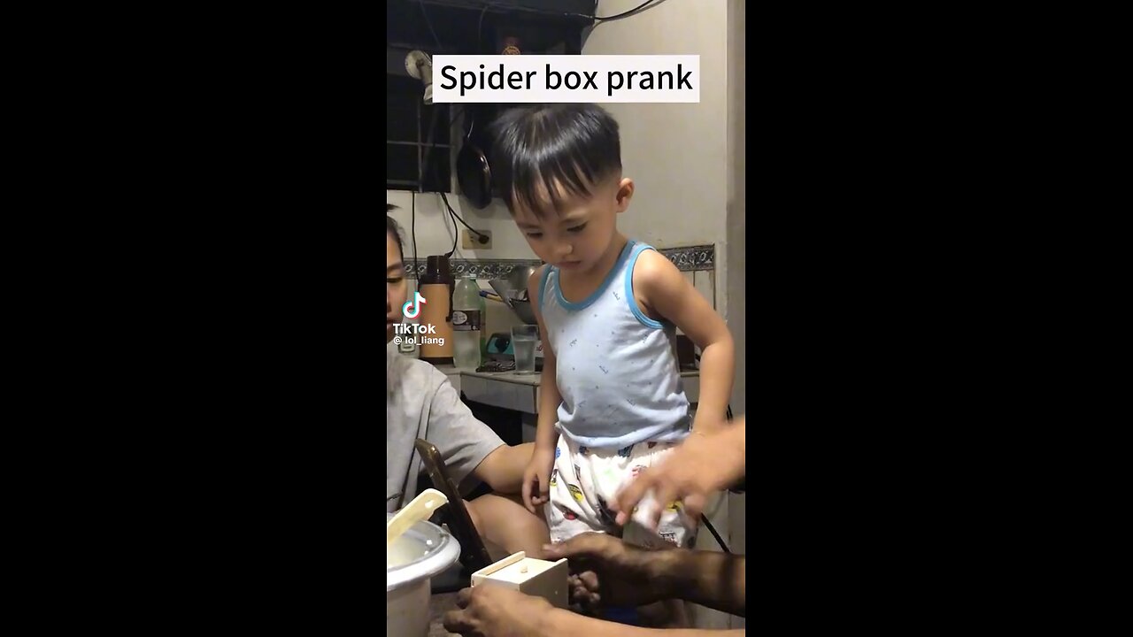 Spider box prank