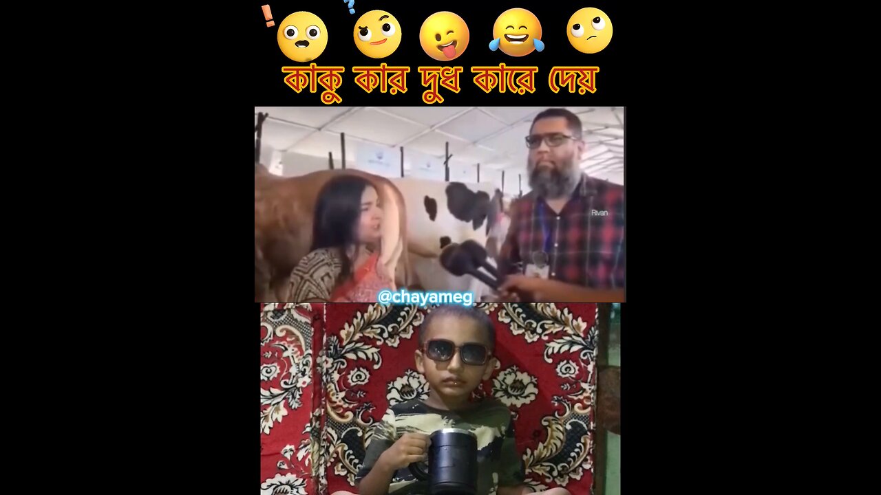 আপনারা একটু শোনেন তো কাকু কয়ে কি 🤣 #chayameg