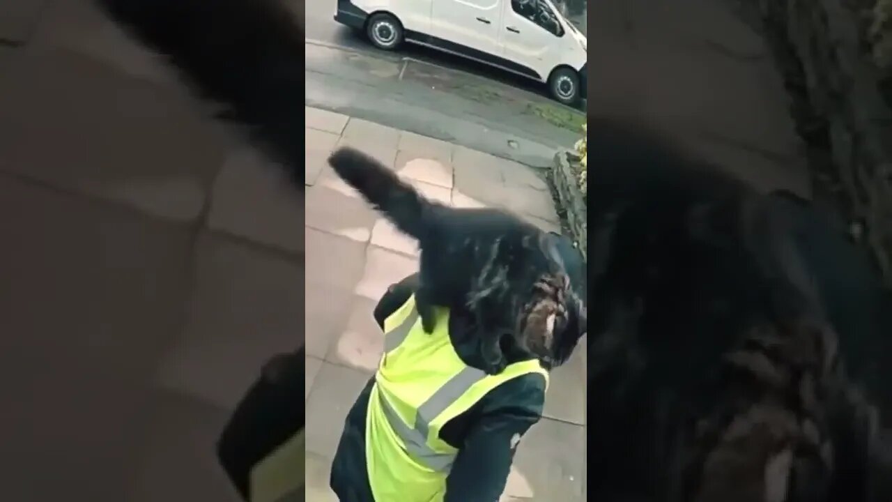 I hold him up, run away!