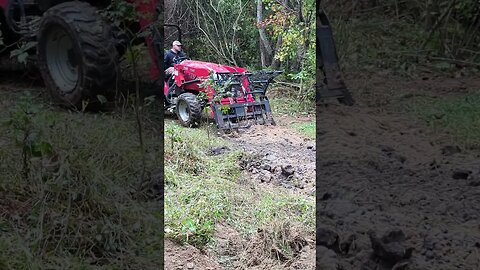 Clearing a Deer Viewing Lane.