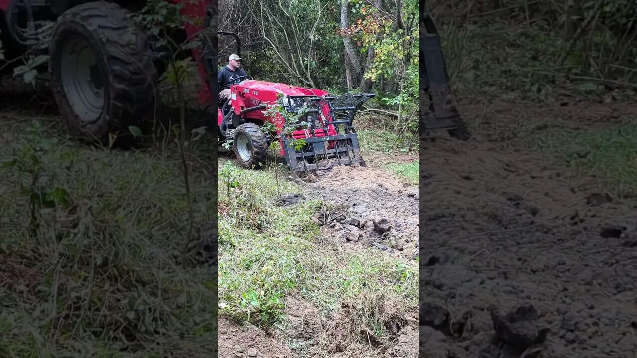 Clearing a Deer Viewing Lane.