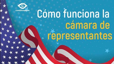 Cómo funciona la cámara de representantes