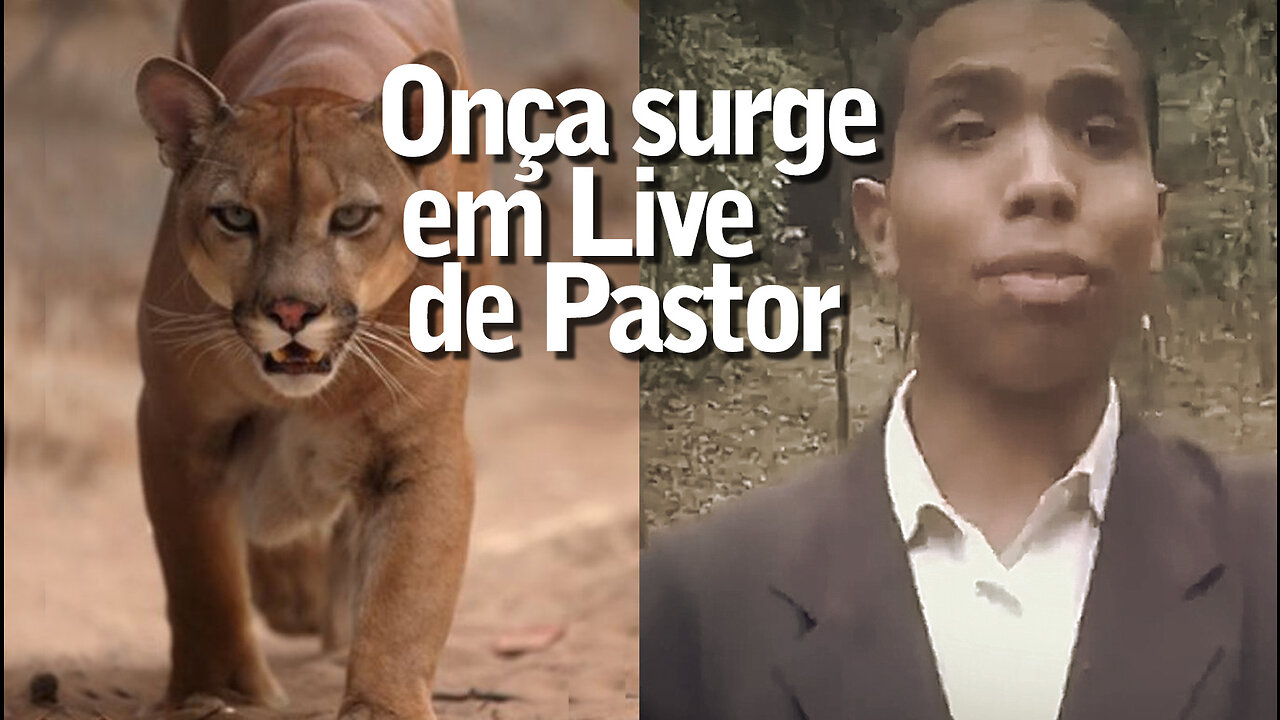 Jovem pastor é surpreendido por onça durante gravação de live | JV Jornalismo Verdade