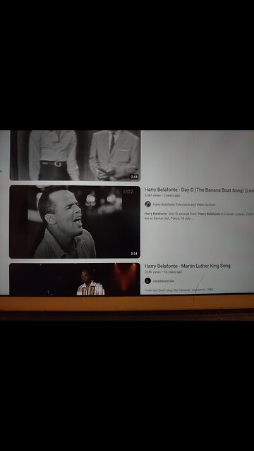 Bad Singer, The FBI is Gay - Ho