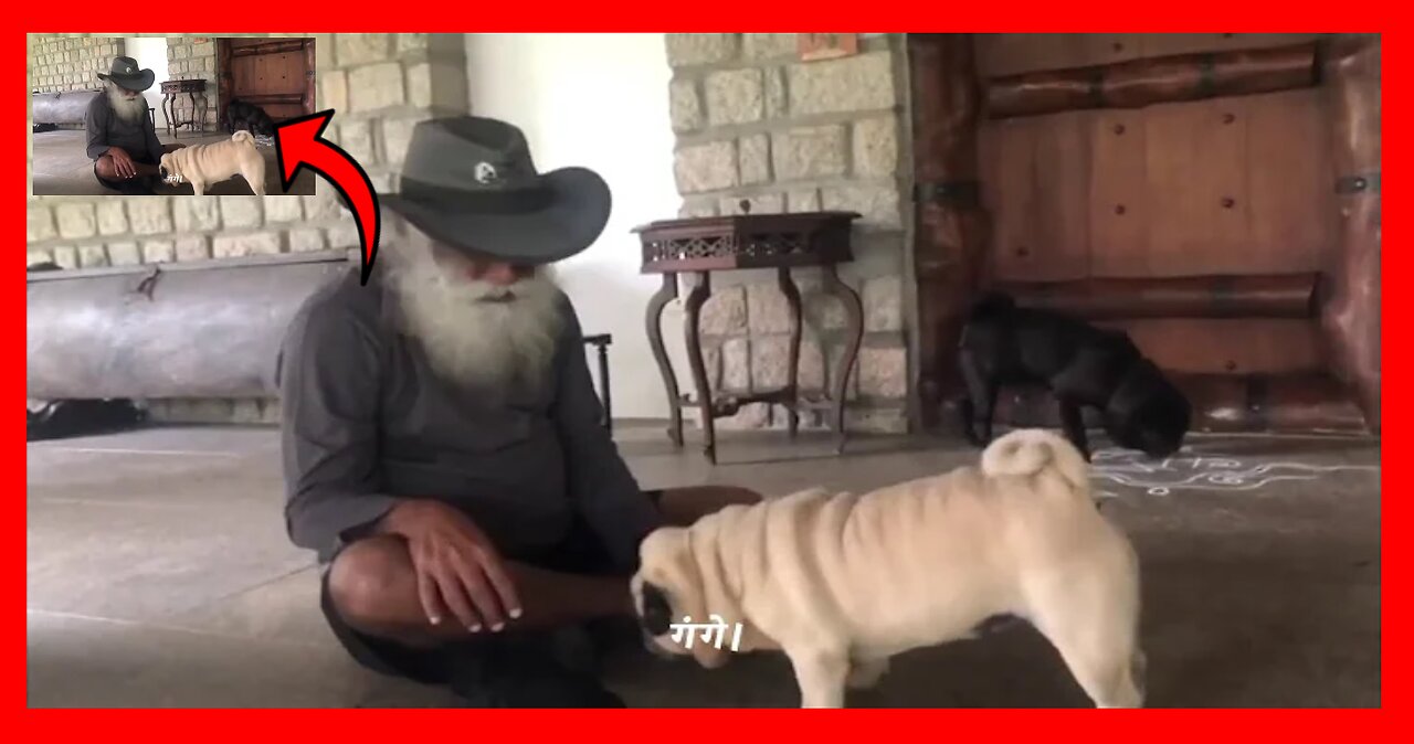 Funny Dog Video Sadhguru