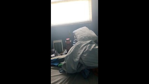 Alleged sick tricks