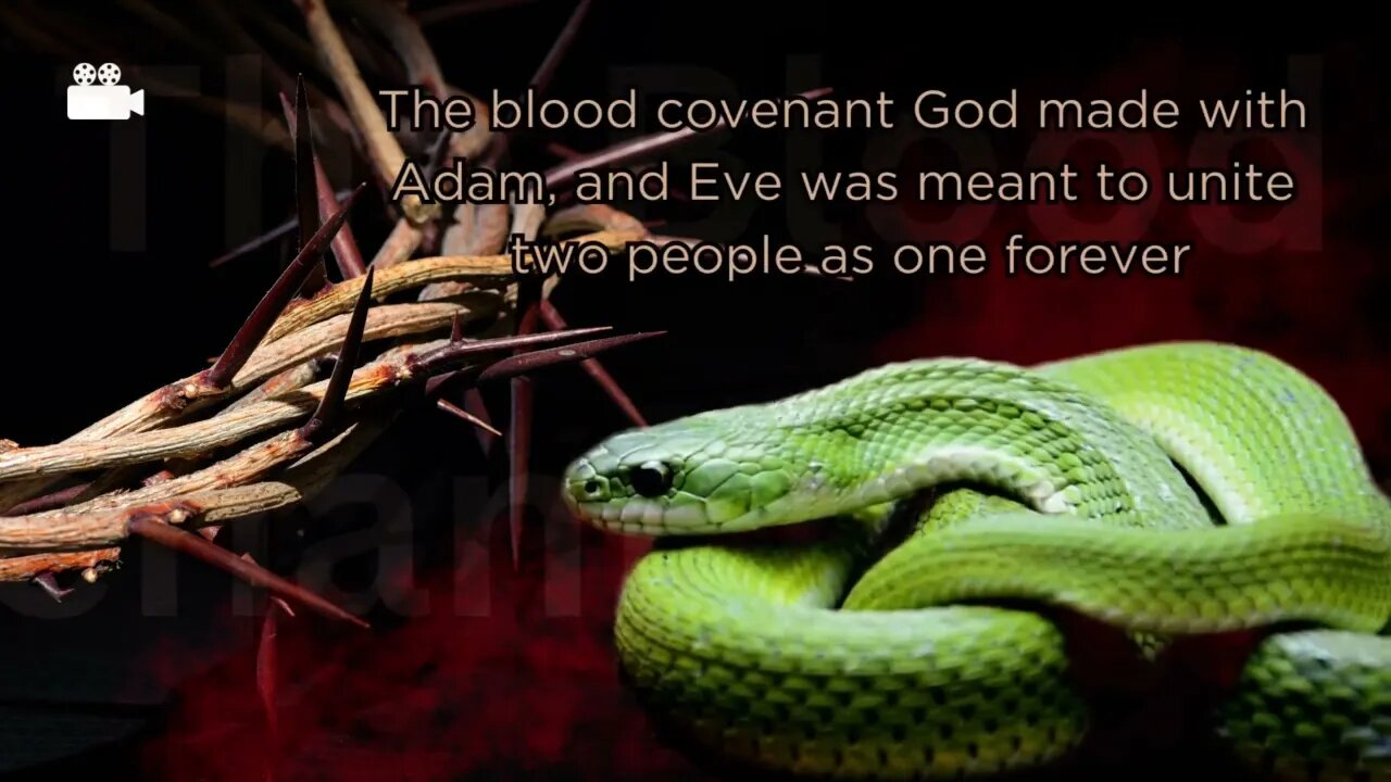 The Blood Covenant of Elohim