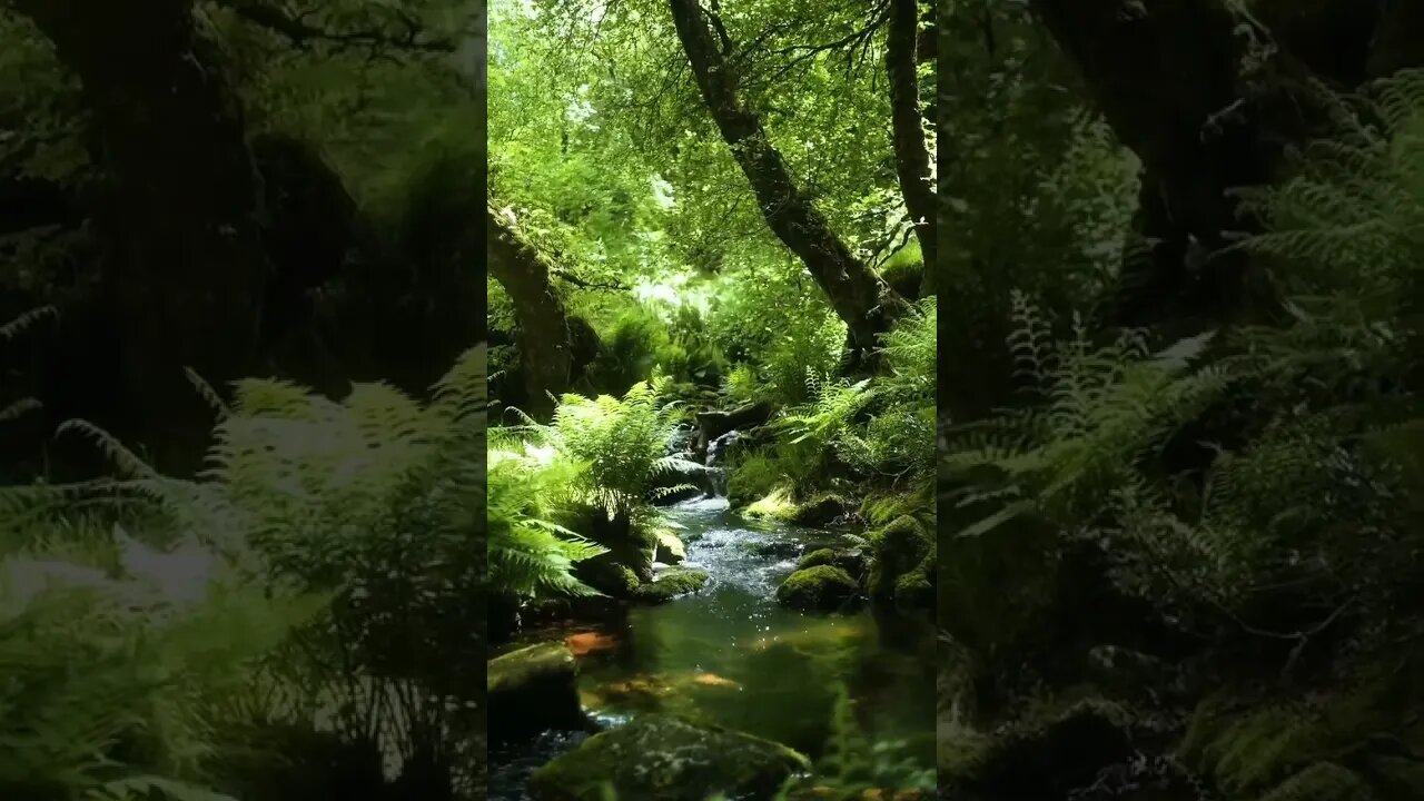 #beautiful birds sound in the nature #youtubevideo #short