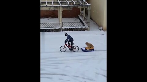 just a boy and his dog