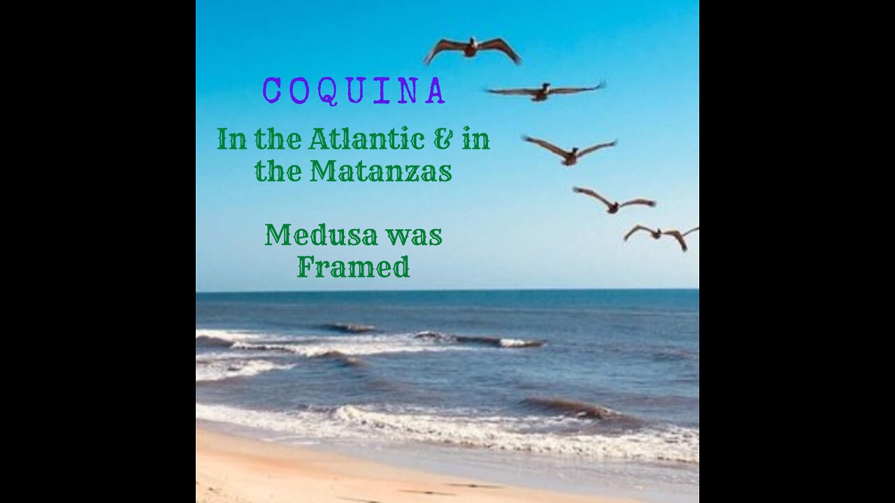 Cliffs of Coquina in the Matanzas River...bizzarrro!?! (audio ALERT! I have no idea what happened when I was using Google Earth!!)