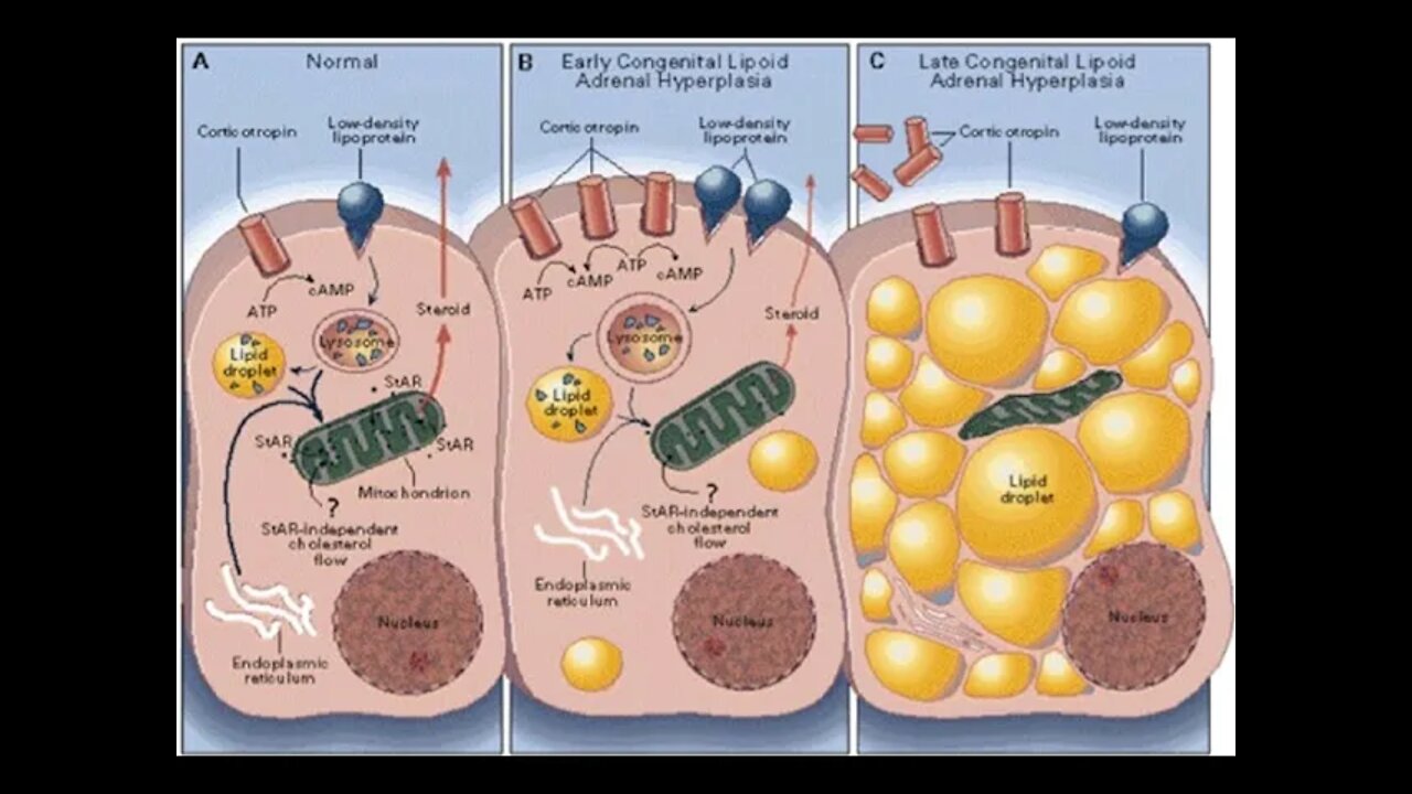 환자혁명, 고혈압, 조한경, 조슈아 조, 식습관, 당뇨, 교감신경, 스트레스, 콜라겐, 비타민k,비타민 E, 현대의학, 건강주권, 임상경험, 영양, 생활 습관, 수면, 스트레스