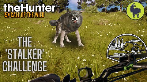 The "Stalker" Challenge, Cuatro Colinas | theHunter: Call of the Wild (PS5 4K)