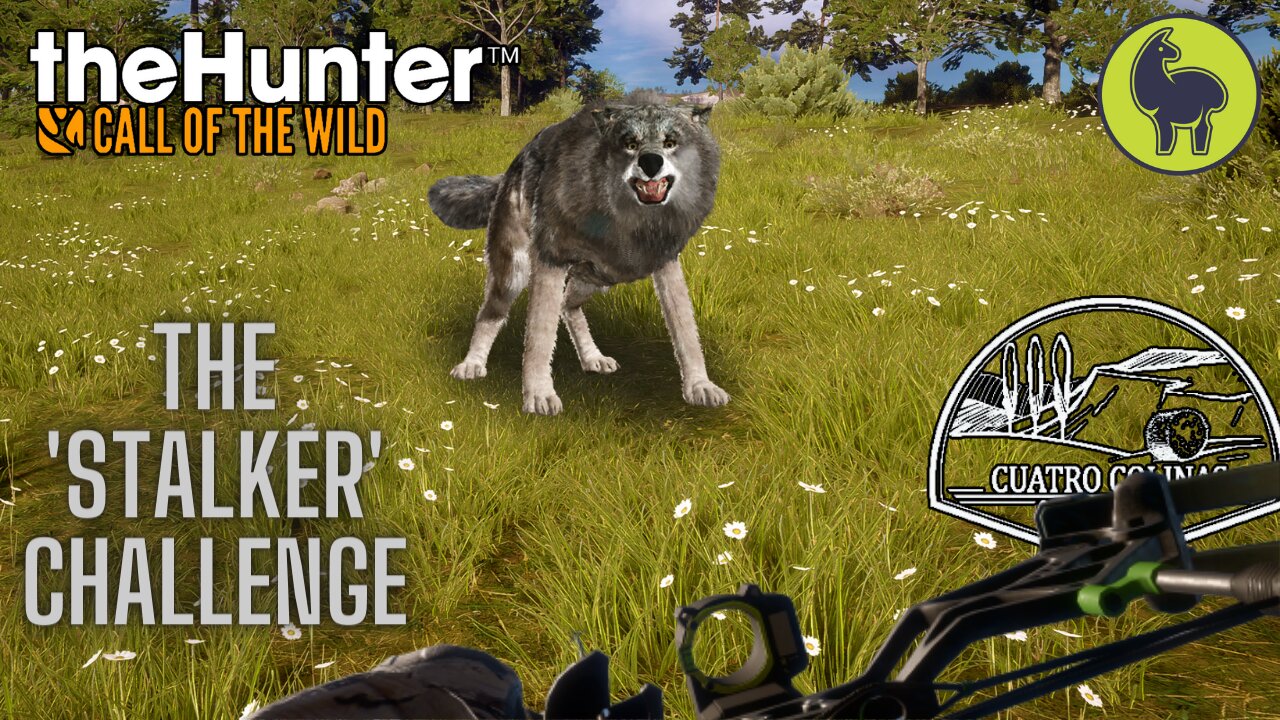 The "Stalker" Challenge, Cuatro Colinas | theHunter: Call of the Wild (PS5 4K)