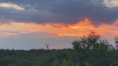 Hill Country Sunrise - Beautiful Sunrise in Texas Hill Country with Ambient Background Sounds