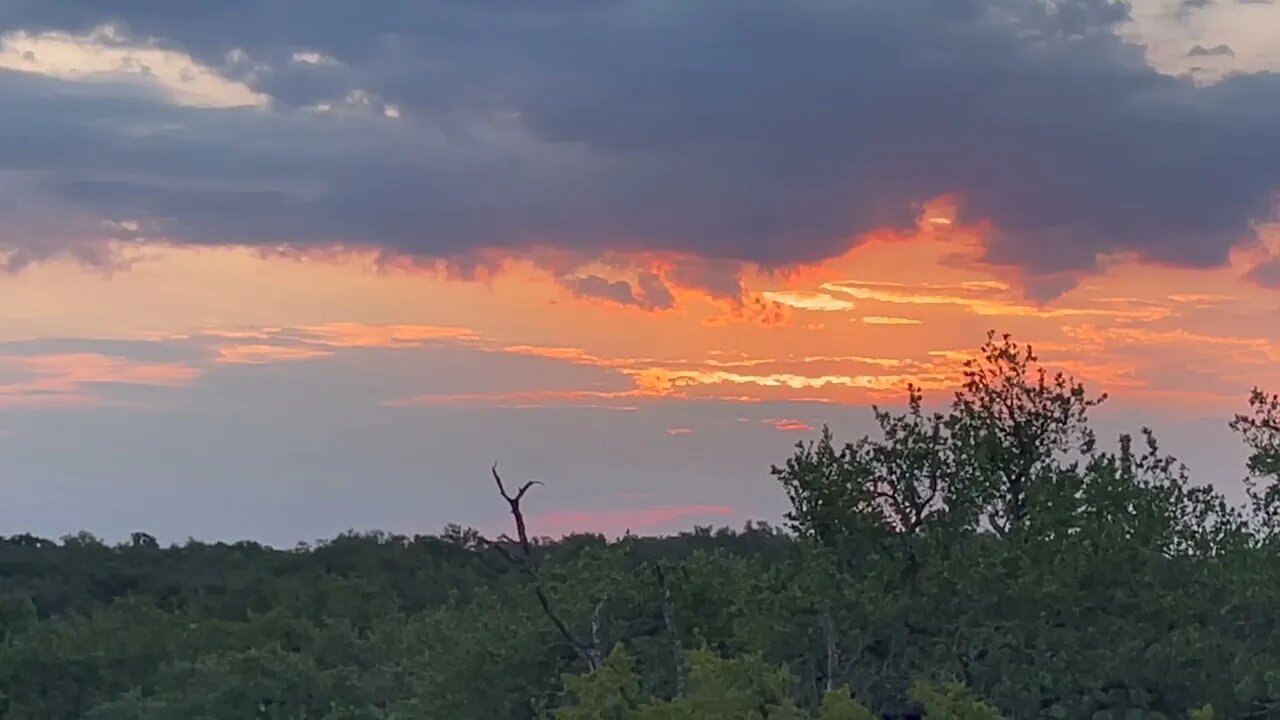 Hill Country Sunrise - Beautiful Sunrise in Texas Hill Country with Ambient Background Sounds