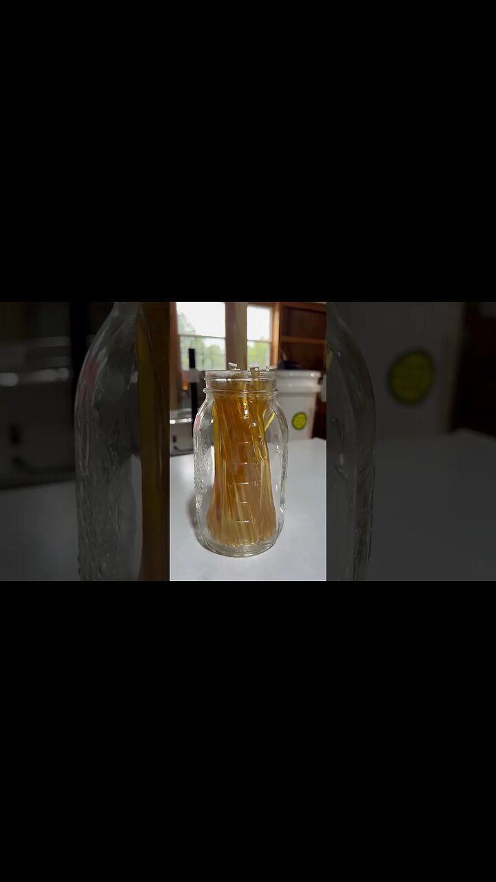 Rainy weekend on the Homestead 💛 #shorts