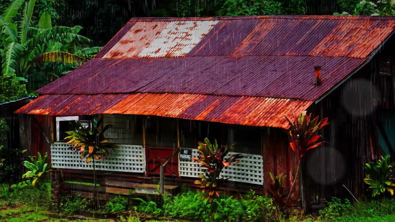 Rain sounds. Rain. Sounds of nature. Relax sounds