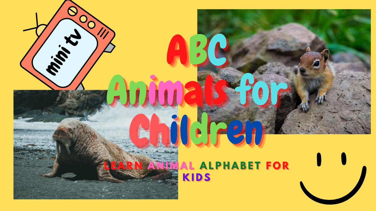 ABC Animals for Children-Learn | minitv3012 #alphabet #cuteanimals #learnenglish