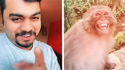Funny Videos😂🤣😂| Funny Animals
