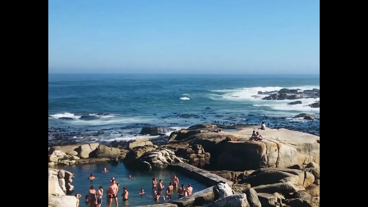 Tidal Pools Afternoon Swim #shorts