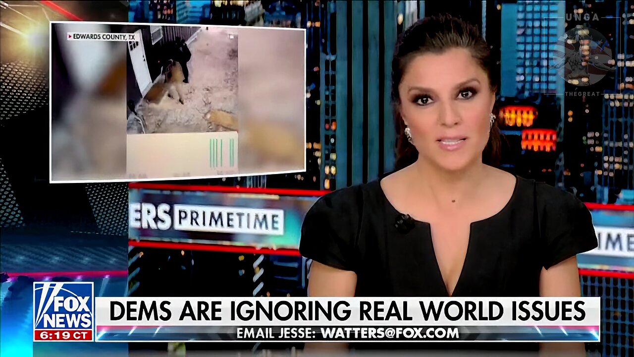 Campos-Duffy: I’m Almost Expecting Some Kind of a Revolt From Americans Affected By Border Crisis