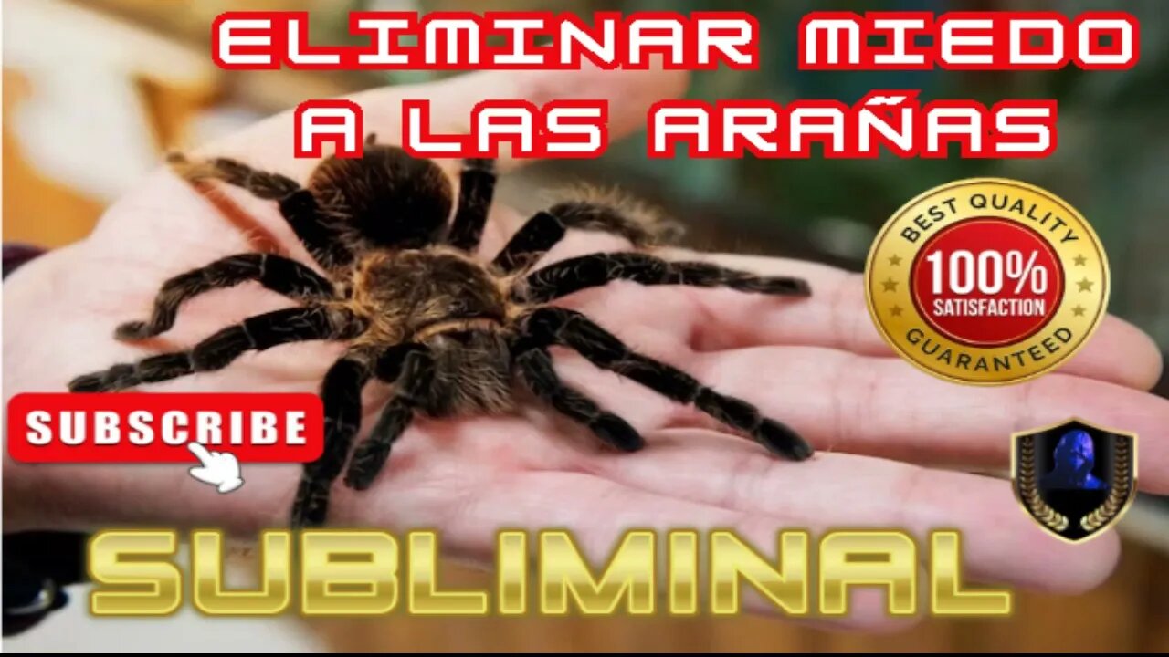 Eliminar Miedo a las Arañas Aracnofobia Subliminal 2023