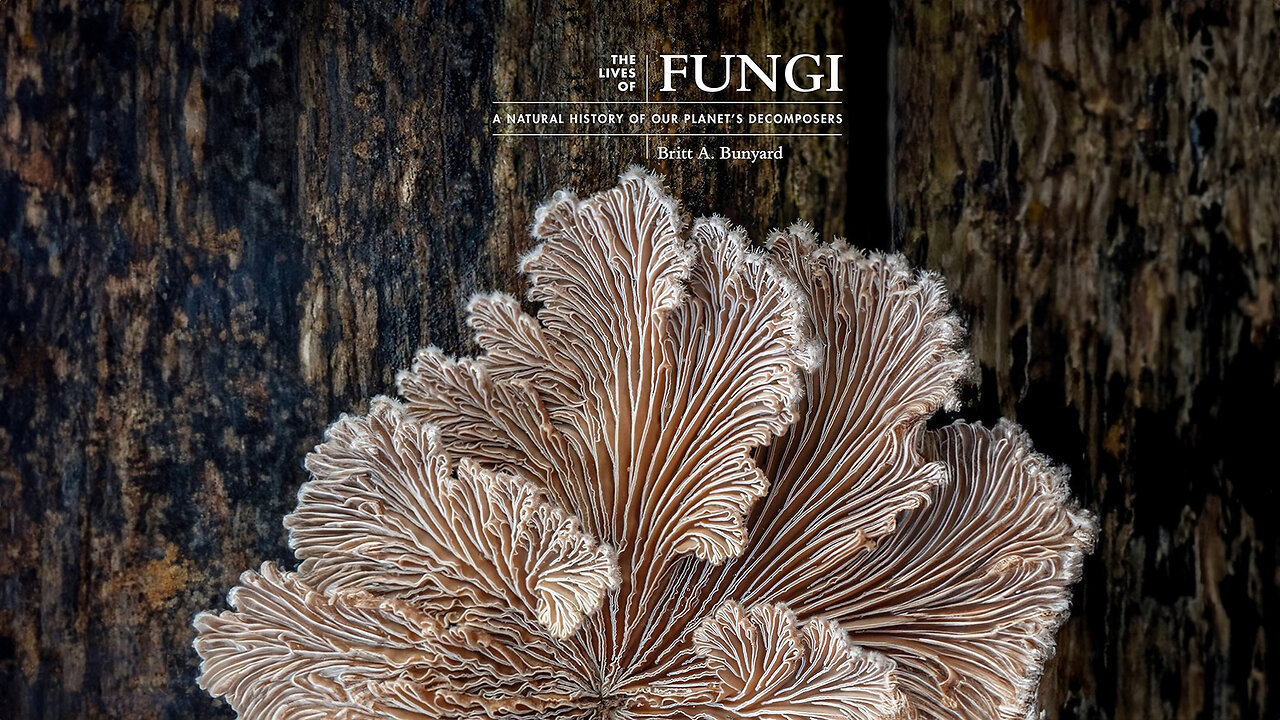 The Lives of Fungi: A Natural History of Our Planet's Decomposers