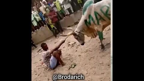 funny video